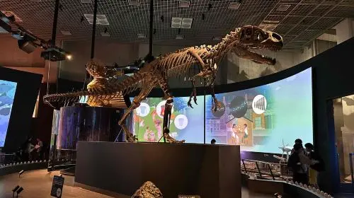 National Museum of Nature and Science in Tokyo - Photo 6