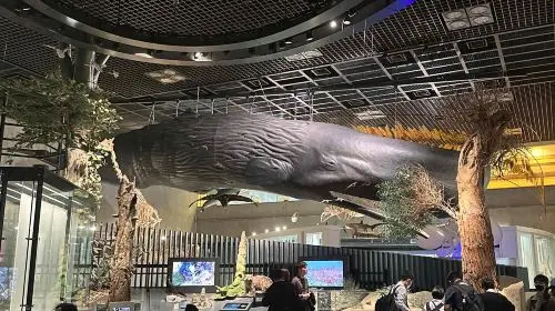 National Museum of Nature and Science in Tokyo - Photo 8