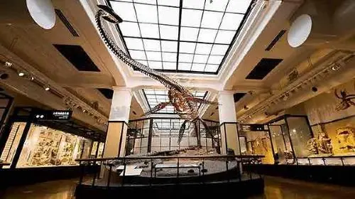 National Museum of Nature and Science in Tokyo
