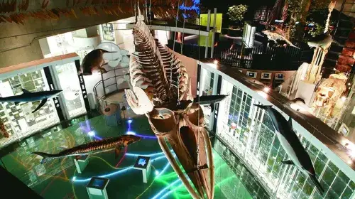 National Museum of Nature and Science in Tokyo - Photo 9