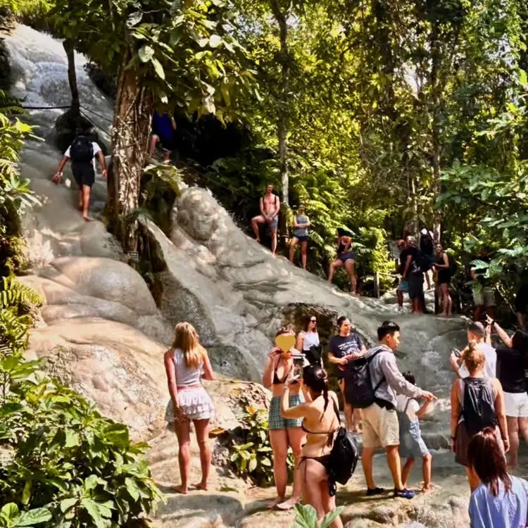 Half Day Trip to Sticky Waterfall (Buatong Waterfall) Half Day Trip to Sticky Waterfall (Buatong Waterfall) in Chiang Mai - Photo 6