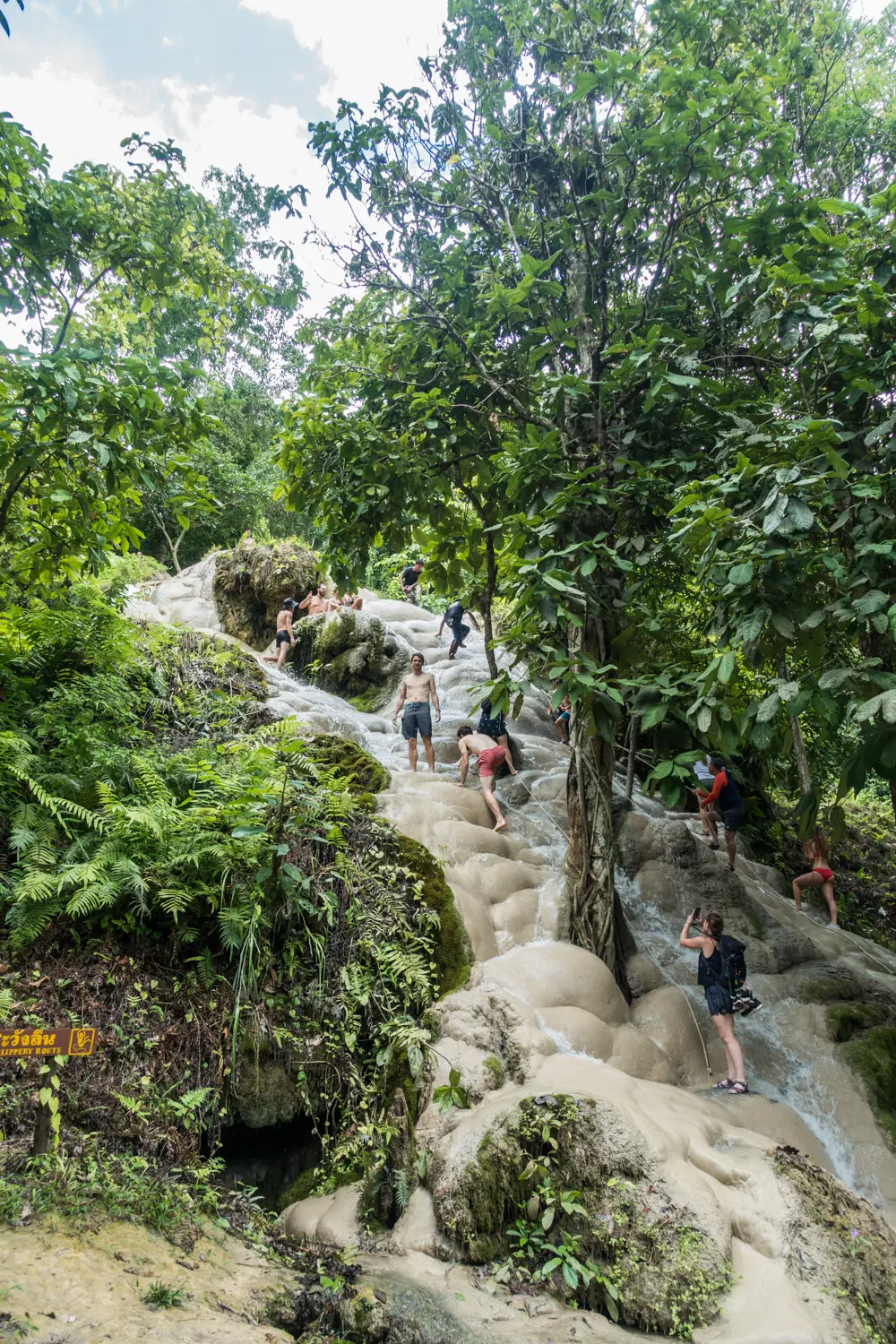 Half Day Trip to Sticky Waterfall (Buatong Waterfall) Half Day Trip to Sticky Waterfall (Buatong Waterfall) in Chiang Mai - Photo 7
