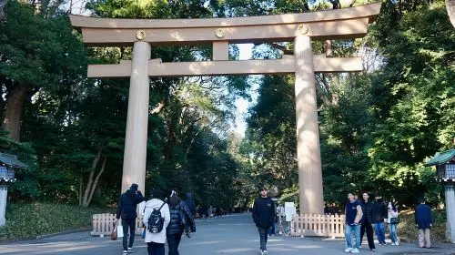 Tokyo Harajuku Tour: From Meiji Park to Takeshita St to Shibuya Crossing Day Tours in Tokyo