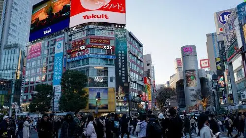 Tokyo Harajuku Tour: From Meiji Park to Takeshita St to Shibuya Crossing Day Tours Tokyo Harajuku Tour: From Meiji Park to Takeshita St to Shibuya Crossing Day Tours in Tokyo - Photo 4