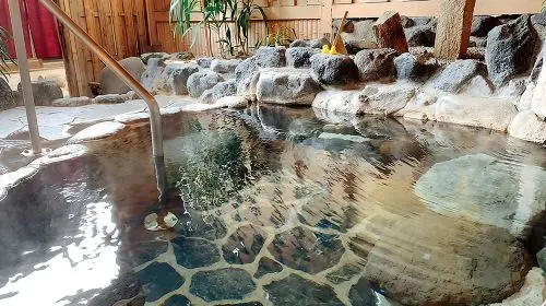 Tattoo-friendly open-air Onsen & drink Day Tours in Tokyo - Photo 5