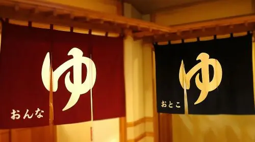 Tattoo-friendly open-air Onsen & drink Day Tours in Tokyo - Photo 6