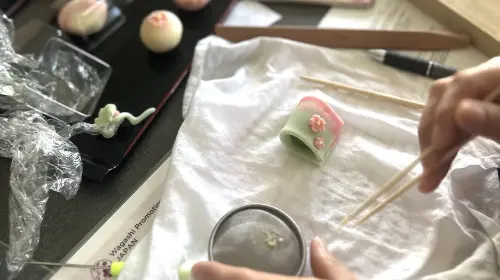 Tokyo Nerikiri Wagashi-Making with Tea Ceremony in Tokyo - Photo 8