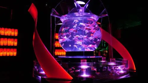 ART AQUARIUM MUSEUM ART AQUARIUM MUSEUM in Tokyo - Photo 3