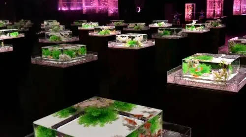 ART AQUARIUM MUSEUM ART AQUARIUM MUSEUM in Tokyo - Photo 8