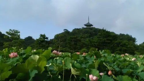 Sankeien Garden in Tokyo - Photo 10