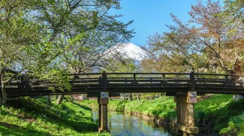 Kawaguchiko Mt. Fuji Panoramic Ropeway in Tokyo - Photo 10