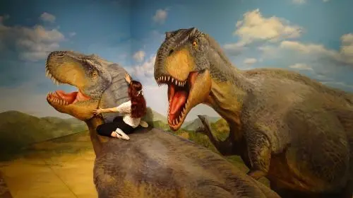 TOKYO TRICK ART MUSEUM in Tokyo
