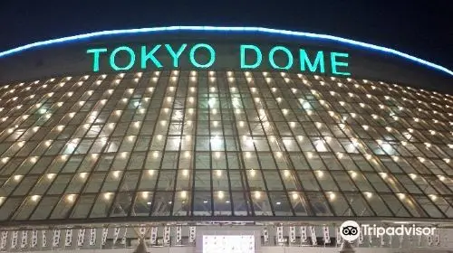 Tokyo Dome City Tokyo Dome City in Tokyo - Photo 8