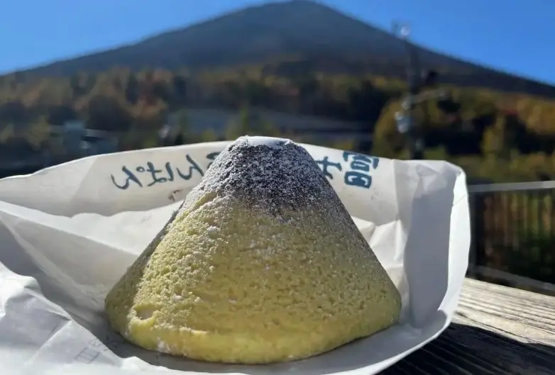 Mt. Fuji I Line: A one-day tour of the Mt. Fuji-Hakone Shinkansen bullet train. Mt. Fuji I Line: A one-day tour of the Mt. Fuji-Hakone Shinkansen bullet train. in Tokyo - Photo 5