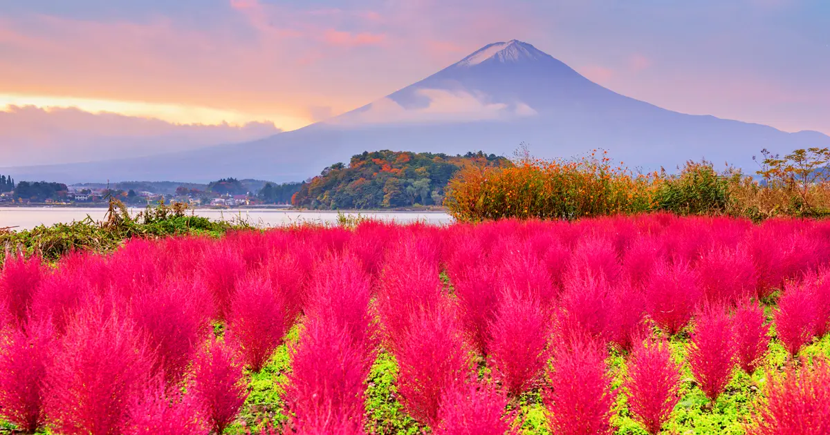A day trip to seven popular Instagram spots around Mount Fuji in Tokyo - Photo 5