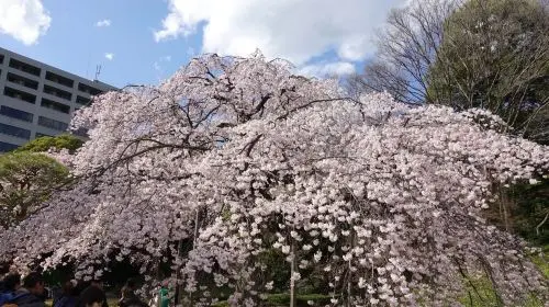 Koishikawa Korakuen Garden in Tokyo - Photo 2