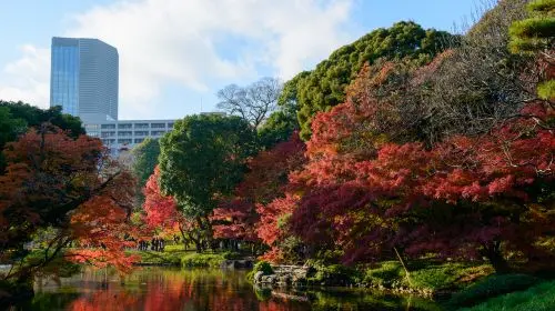 Koishikawa Korakuen Garden in Tokyo - Photo 3