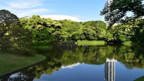 Koishikawa Korakuen Garden in Tokyo