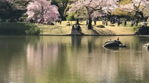 Koishikawa Korakuen Garden in Tokyo - Photo 5