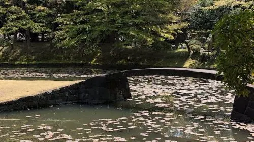 Koishikawa Korakuen Garden in Tokyo - Photo 7