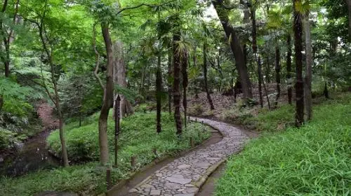 Koishikawa Korakuen Garden in Tokyo - Photo 11