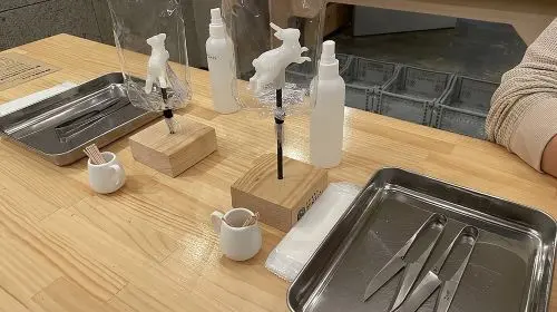 Tokyo · Asakusa: Special experience of traditional Japanese sugar sculpture "Amezaiku" workshop Day Tours in Tokyo - Photo 8