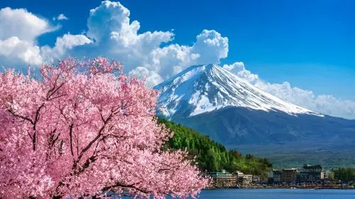 Mount Fuji Panoramic Ropeway, Lake Kawaguchi,Lawson ,Oshino Hakkai One-Day Tour Day Tours in Tokyo - Photo 6