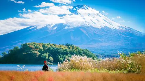 Mount Fuji Panoramic Ropeway, Lake Kawaguchi,Lawson ,Oshino Hakkai One-Day Tour Day Tours in Tokyo - Photo 8