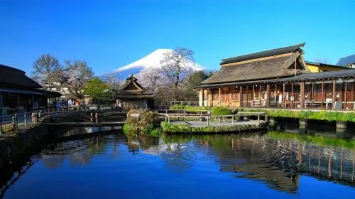Fuji twin lakes panoramic 1-day tour: Lake Yamanaka + Lake Kawaguchi + Oshino Hakkai + instagrammable spots in Tokyo - Photo 3