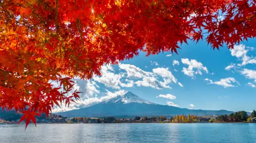 Fuji twin lakes panoramic 1-day tour: Lake Yamanaka + Lake Kawaguchi + Oshino Hakkai + instagrammable spots in Tokyo - Photo 8