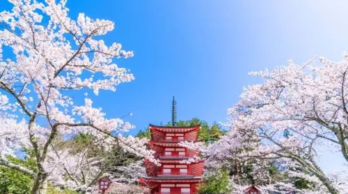 Fuji twin lakes panoramic 1-day tour: Lake Yamanaka + Lake Kawaguchi + Oshino Hakkai + instagrammable spots in Tokyo