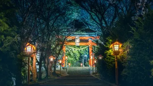 1-day tour of Hakone and Kamakura in Japan: Owakudani, Lake Ashi Torii, and Enoshima|Departing from Tokyo in Tokyo - Photo 5