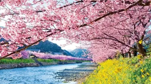 [A tour of Izu departing from Tokyo]Mount Omuro Ropeway | Shaboten Zoo Day Tour with complimentary Ocean-View Train Ticket | Jogasaki Coast | Hotel Pick-up Available,   No Shopping, Pure Play Day Tour in Tokyo - Photo 2