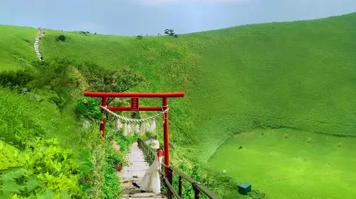 [A tour of Izu departing from Tokyo]Mount Omuro Ropeway | Shaboten Zoo Day Tour with complimentary Ocean-View Train Ticket | Jogasaki Coast | Hotel Pick-up Available,   No Shopping, Pure Play Day Tour in Tokyo - Photo 4