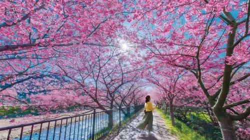 [A tour of Izu departing from Tokyo]Mount Omuro Ropeway | Shaboten Zoo Day Tour with complimentary Ocean-View Train Ticket | Jogasaki Coast | Hotel Pick-up Available,   No Shopping, Pure Play Day Tour in Tokyo - Photo 5