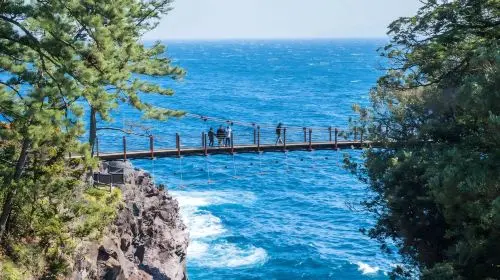 [A tour of Izu departing from Tokyo]Mount Omuro Ropeway | Shaboten Zoo Day Tour with complimentary Ocean-View Train Ticket | Jogasaki Coast | Hotel Pick-up Available,   No Shopping, Pure Play Day Tour in Tokyo - Photo 6