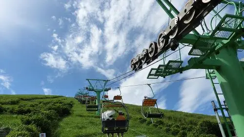 [A tour of Izu departing from Tokyo]Mount Omuro Ropeway | Shaboten Zoo Day Tour with complimentary Ocean-View Train Ticket | Jogasaki Coast | Hotel Pick-up Available,   No Shopping, Pure Play Day Tour in Tokyo - Photo 11