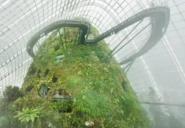 [Gardens by the Bay] Oversea Educational Programme in Singapore - Photo 2