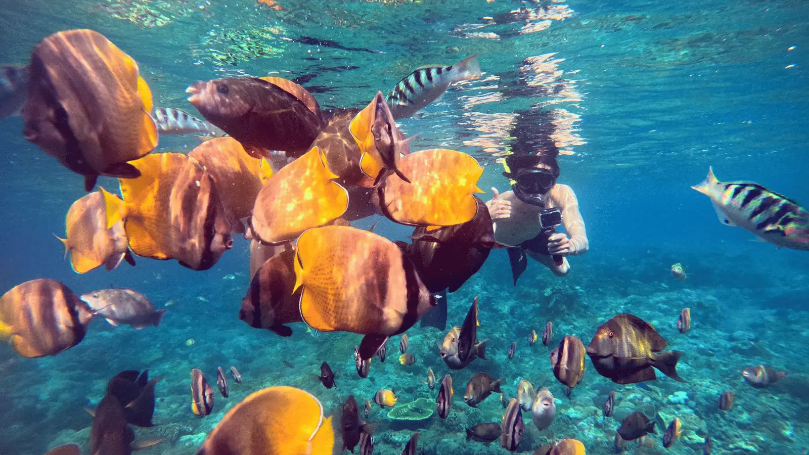 Snorkeling Tour in Nusa Penida (3 - 4 Snorkeling Spots) in Bali