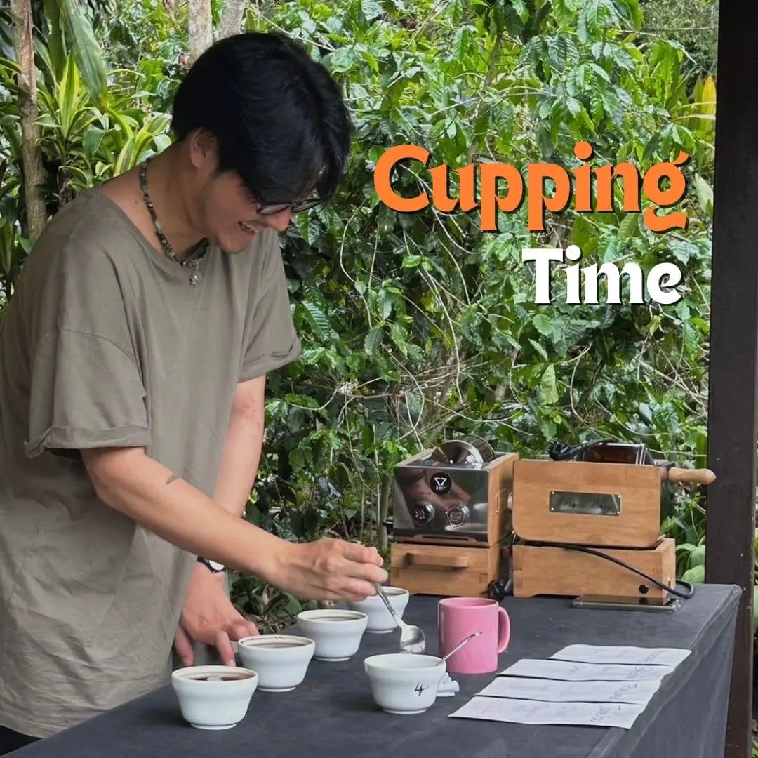 Chiang Mai Organic Coffee Farm Tour by ZEIT Roaster Chiang Mai Organic Coffee Farm Tour by ZEIT Roaster in Chiang Mai - Photo 6