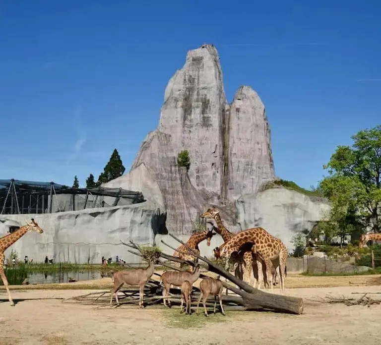 Paris: Paris Zoological Park Entrance Ticket in Paris