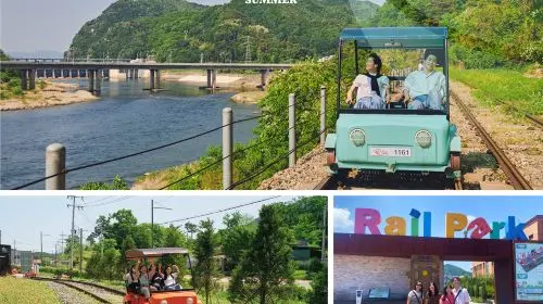 Nami Island, Rail Bike, Gapyeong Sheep and Alpaca Farm, and Starlight Festival Day Tours in Seoul - Photo 3