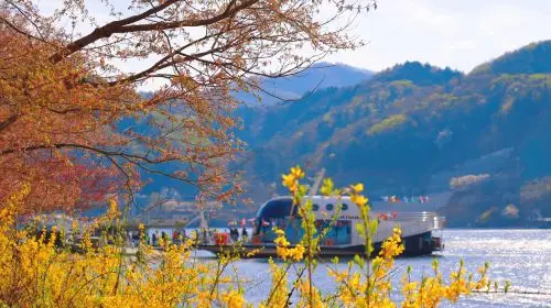 Alpaca World + Nami Island + Gangchon Railbike One Day Tour (From Seoul) Day Tours Alpaca World + Nami Island + Gangchon Railbike One Day Tour (From Seoul) Day Tours in Seoul - Photo 3