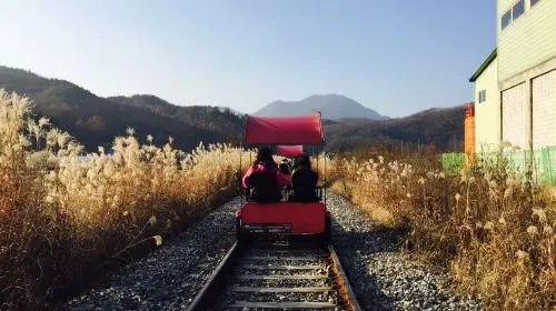 Alpaca World + Nami Island + Gangchon Railbike One Day Tour (From Seoul) Day Tours Alpaca World + Nami Island + Gangchon Railbike One Day Tour (From Seoul) Day Tours in Seoul - Photo 8
