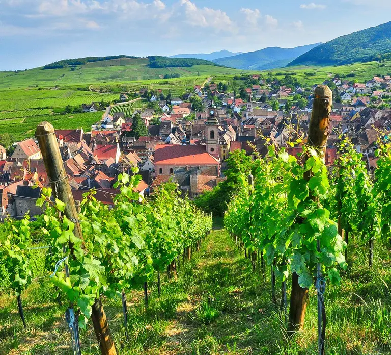 From Paris: Small-Group Champagne Day Trip with Six Tastings in Paris