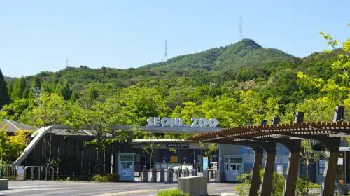 Seoul Zoo in Seoul - Photo 5