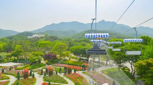 Seoul Zoo in Seoul - Photo 6