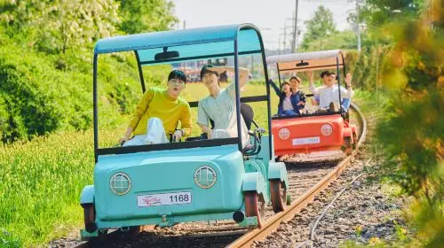 Nami Island one-day tour in South Korea [Alpaca Farm & Rail Bike & Garden of Morning Calm] Day Tours in Seoul - Photo 3