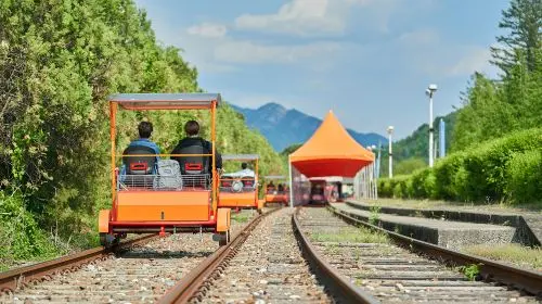 Nami Island one-day tour in South Korea [Alpaca Farm & Rail Bike & Garden of Morning Calm] Day Tours in Seoul - Photo 9