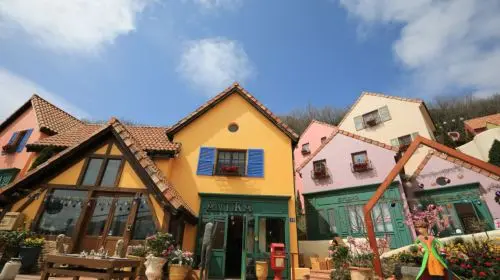 Gyeonggi-do|Alpaca World x Nami Island x Garden of Morning Calm Day Tours Gyeonggi-do|Alpaca World x Nami Island x Garden of Morning Calm Day Tours in Seoul - Photo 10